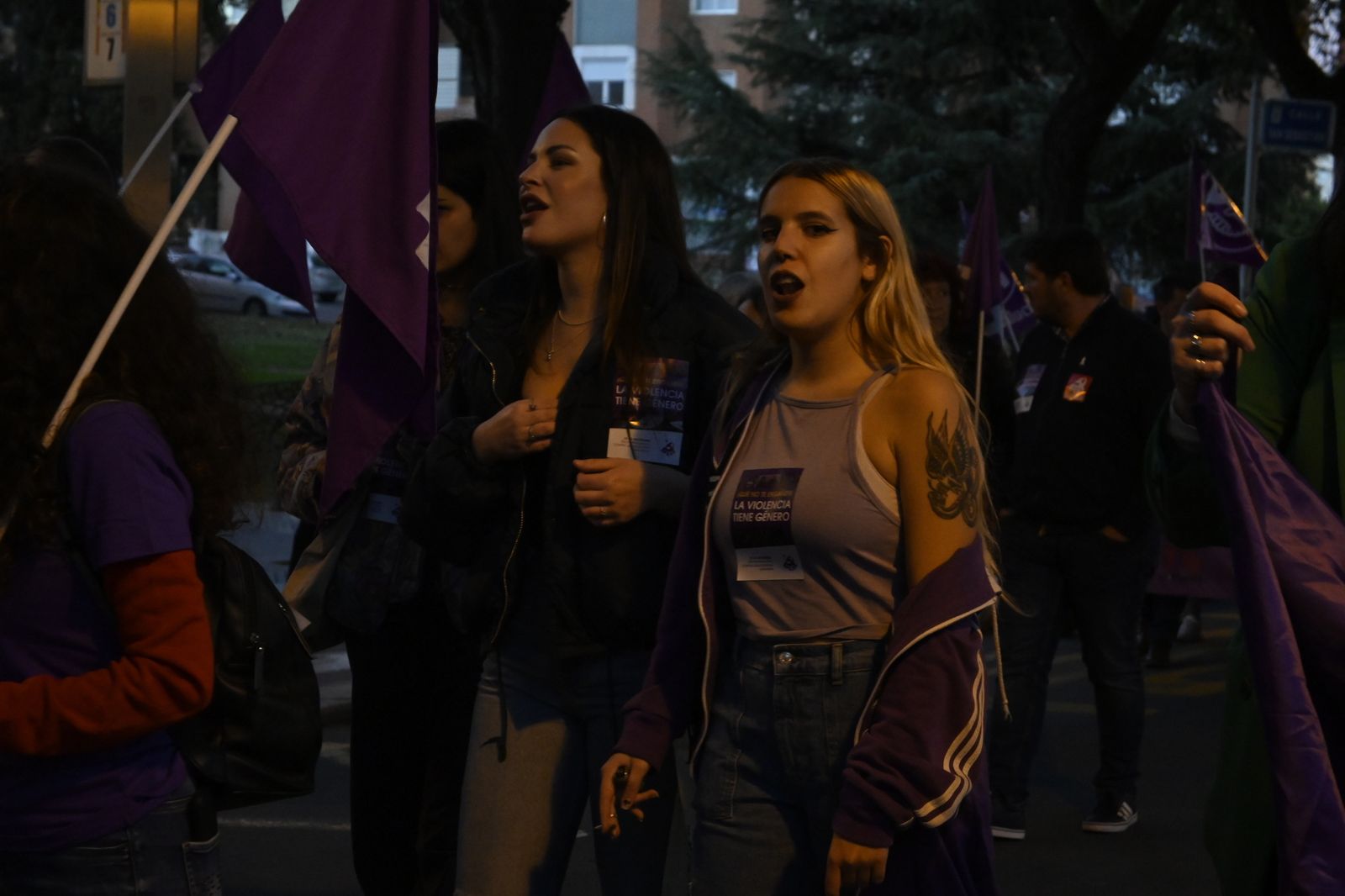 Manifestación del 25N en Imágenes.