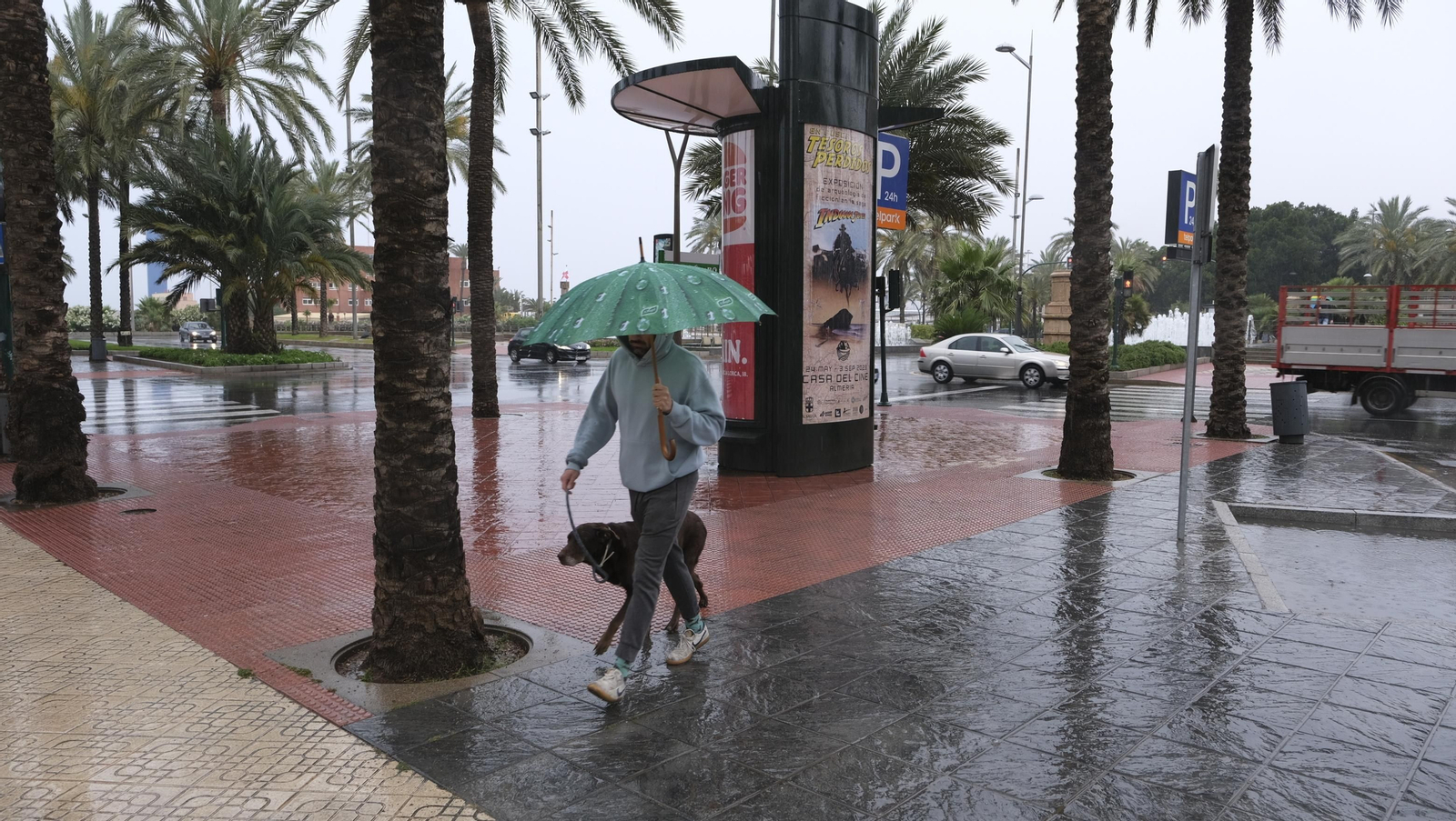 Los almerienses expresan su alegría por la lluvia