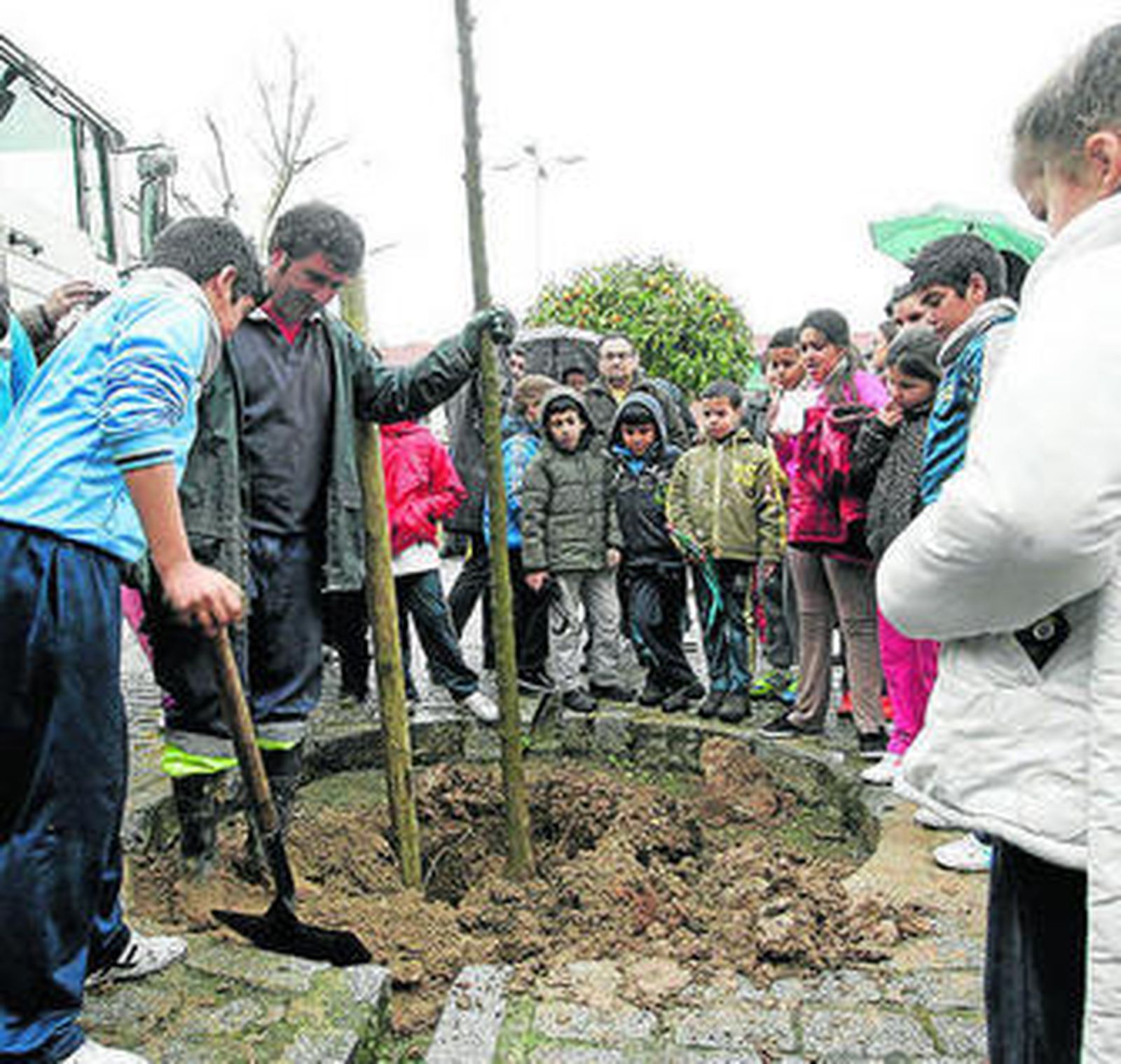 Plantación de los árboles con los alumnos.