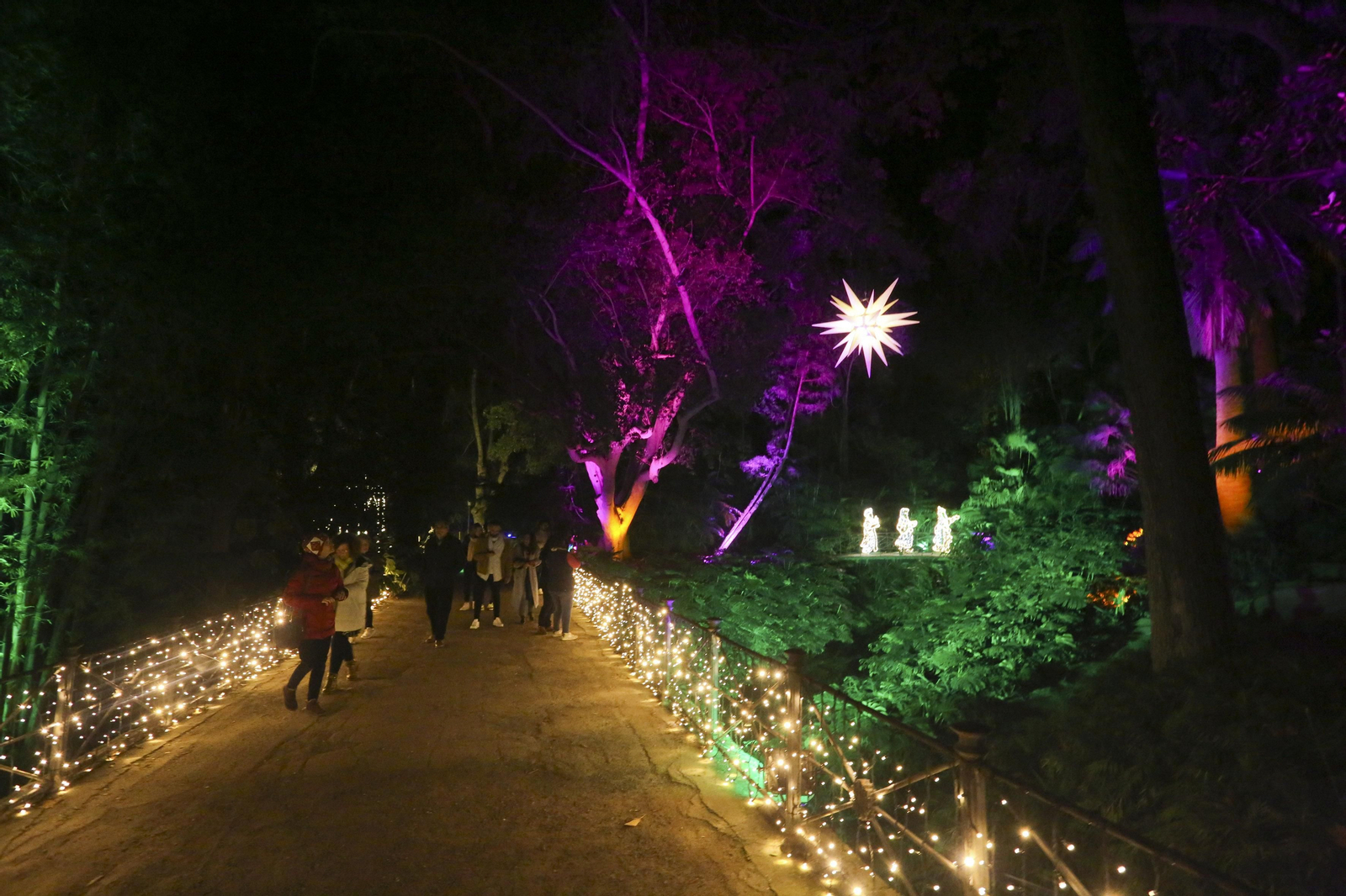 Las luces del Jardín Botánico de Málaga esta Navidad, en fotos