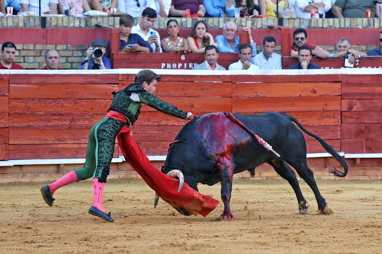 Toros La Merced 2025: Imágenes de la Novillada de Javier Zulueta, Cristian González y Carlos Tirado