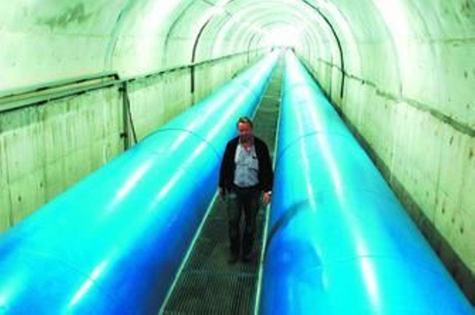 En el corazón del gigante