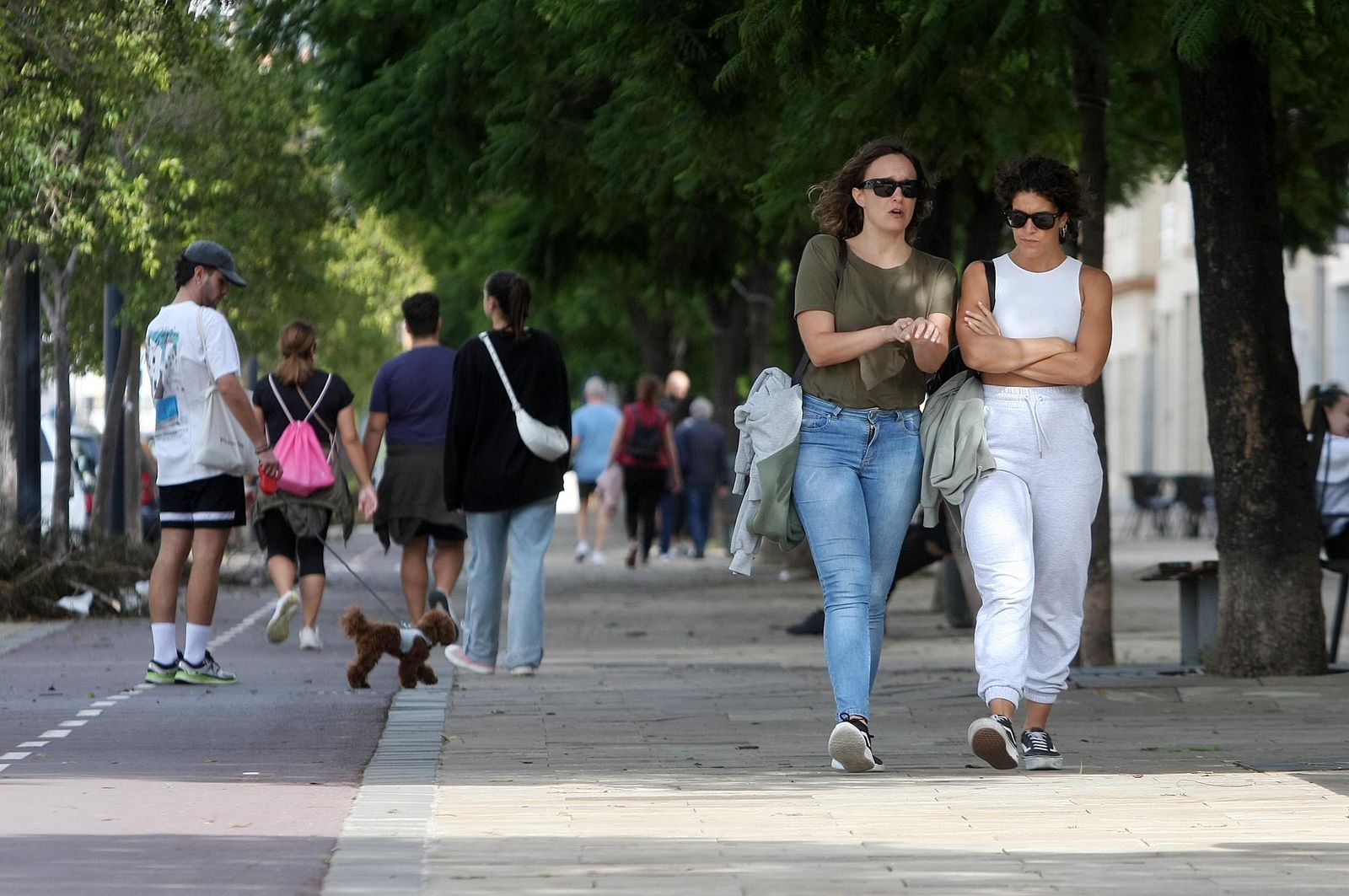 Imágenes del domingo 29 de octubre en Huelva