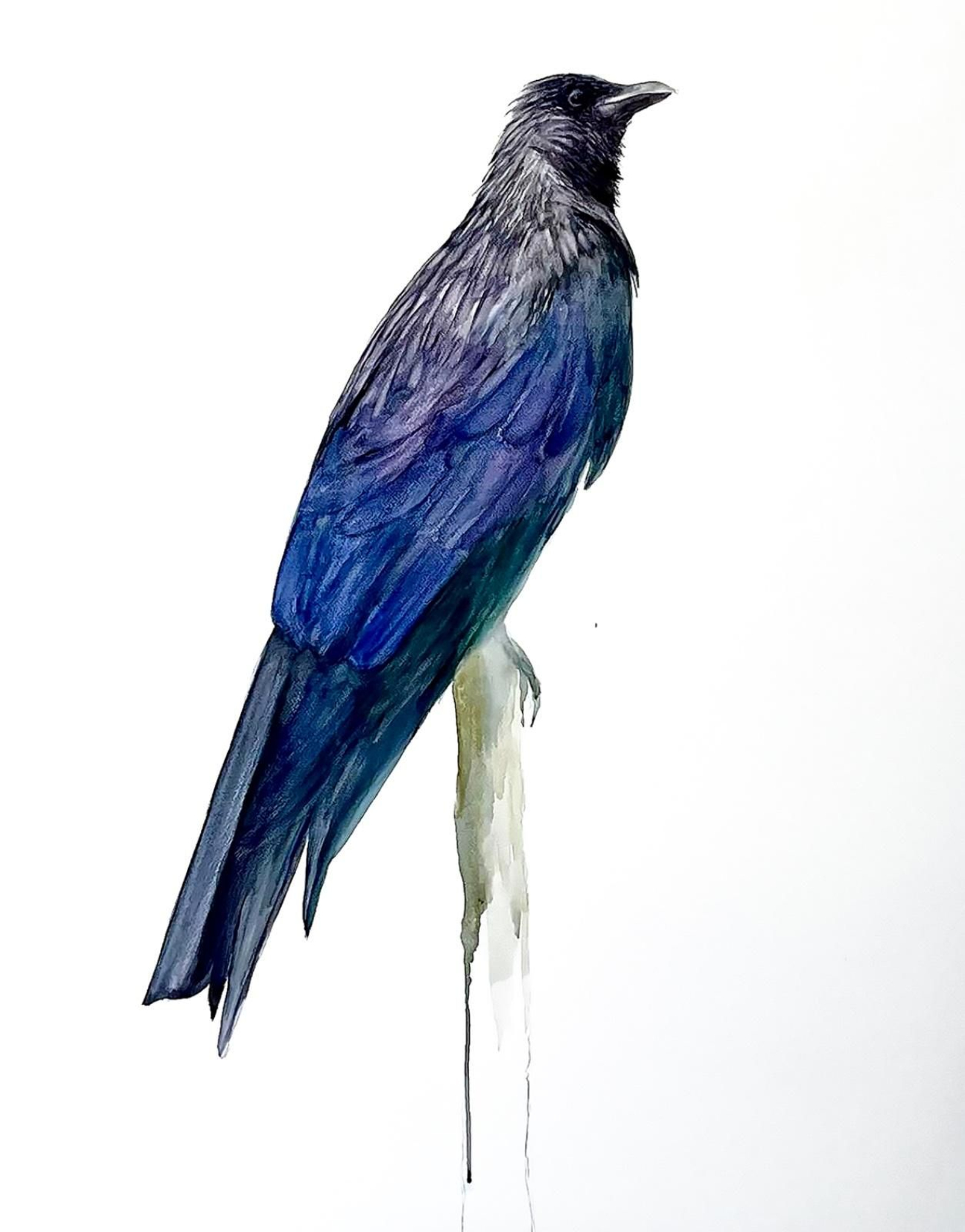 Obra de Pablo Fernández-Pujol.