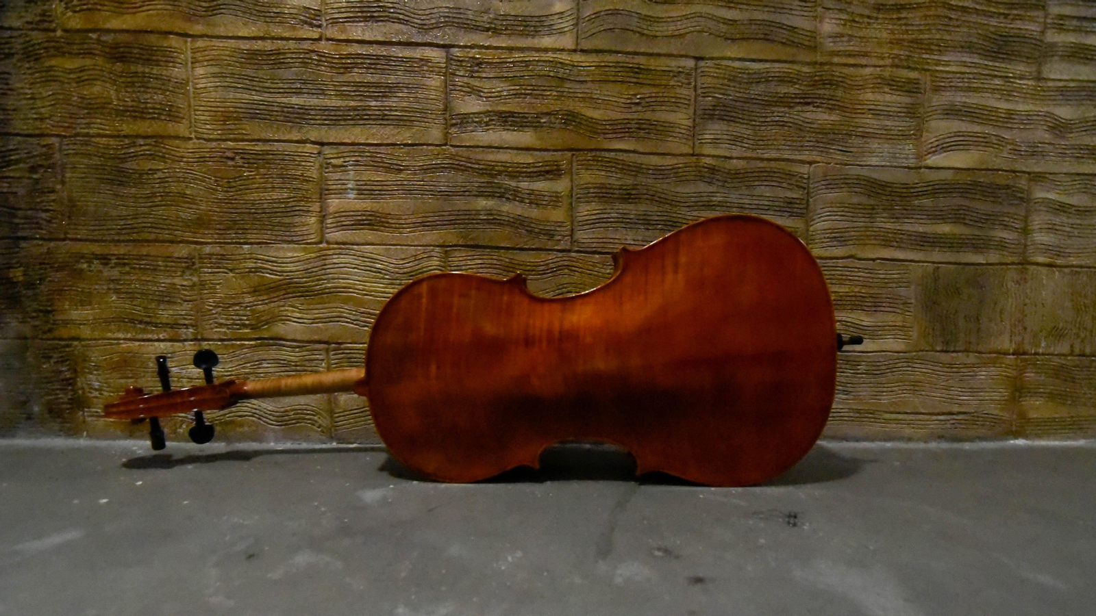 Las fotos del concierto de La Joven Orquesta Sinfónica de La Línea