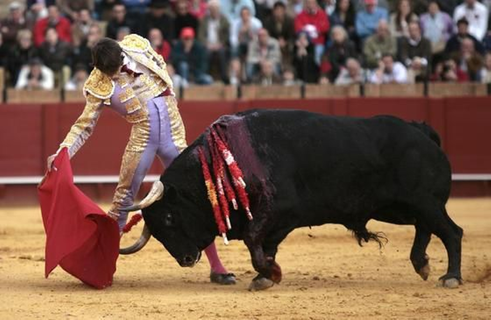Antonio Nazaré, con el quinto toro, con el que sufrió una cogida en la pantorrilla derecha.

Foto: Juan Carlos Muñoz