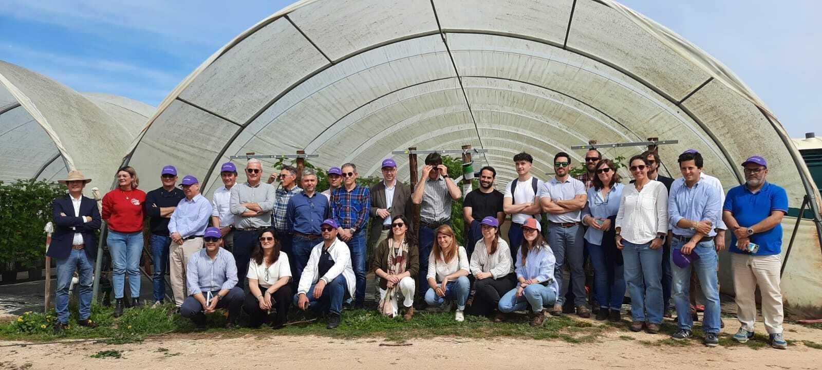 Reunión del Grupo de la Fresa.