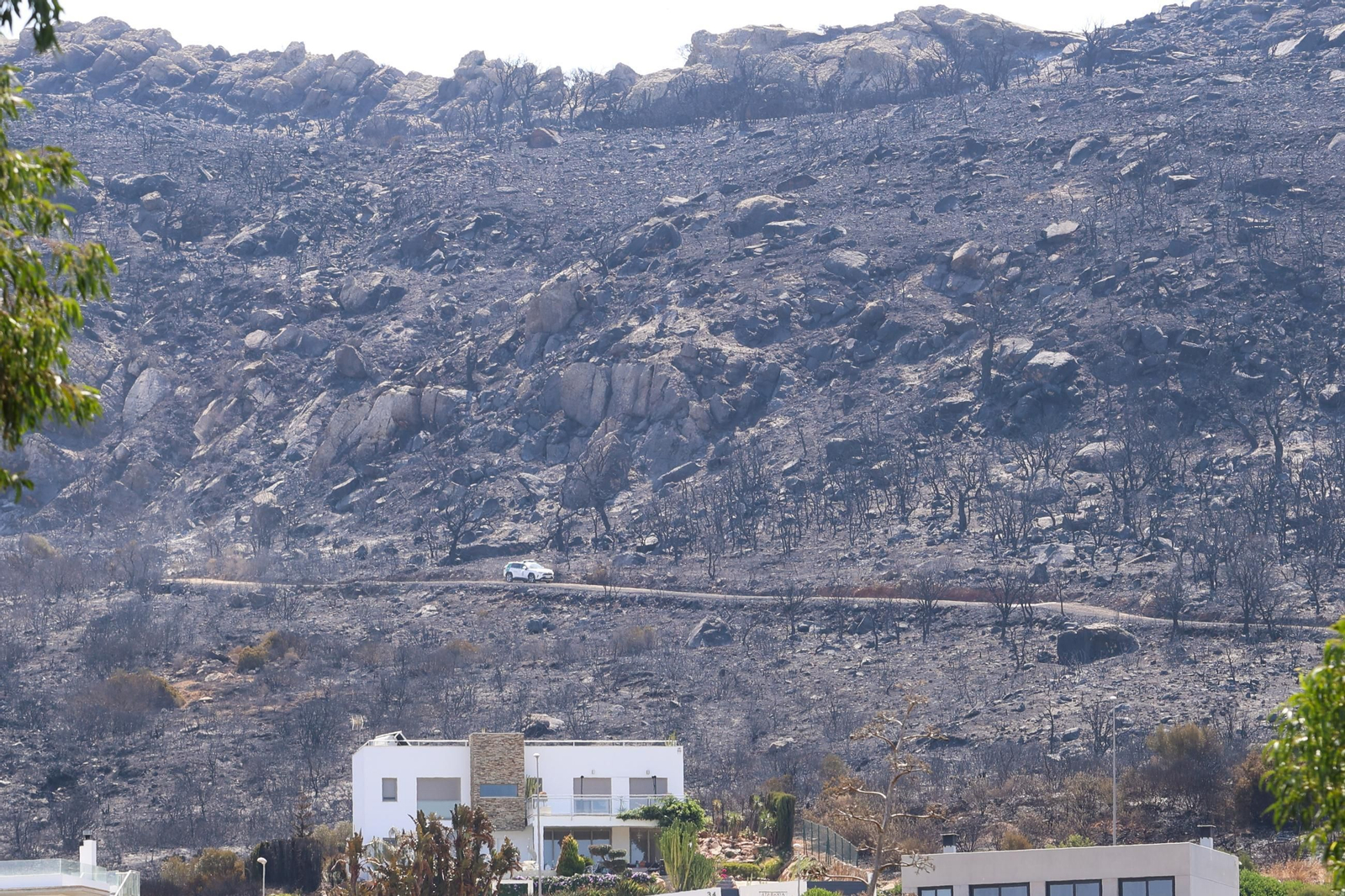 Las fotos de los efectos del incendio forestal en la Sierra de la Plata y Atlanterra, en Tarifa