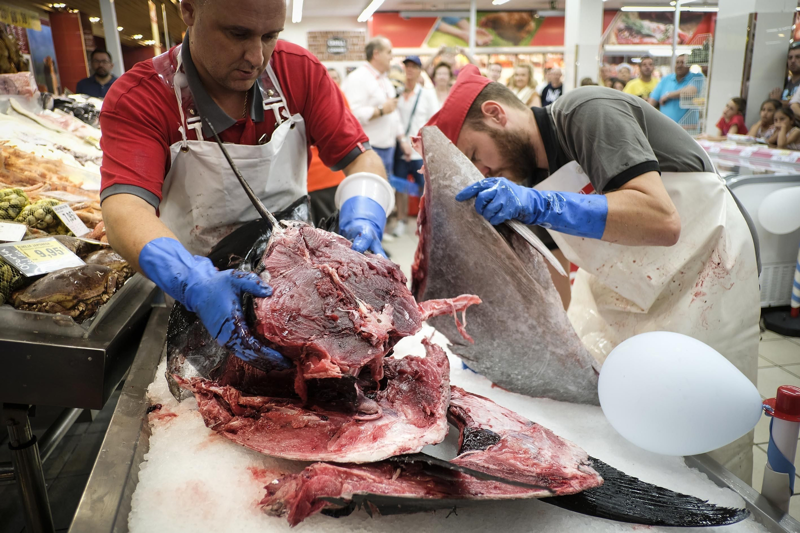 Imágenes del ronqueo en el Maxi Día del Estadio