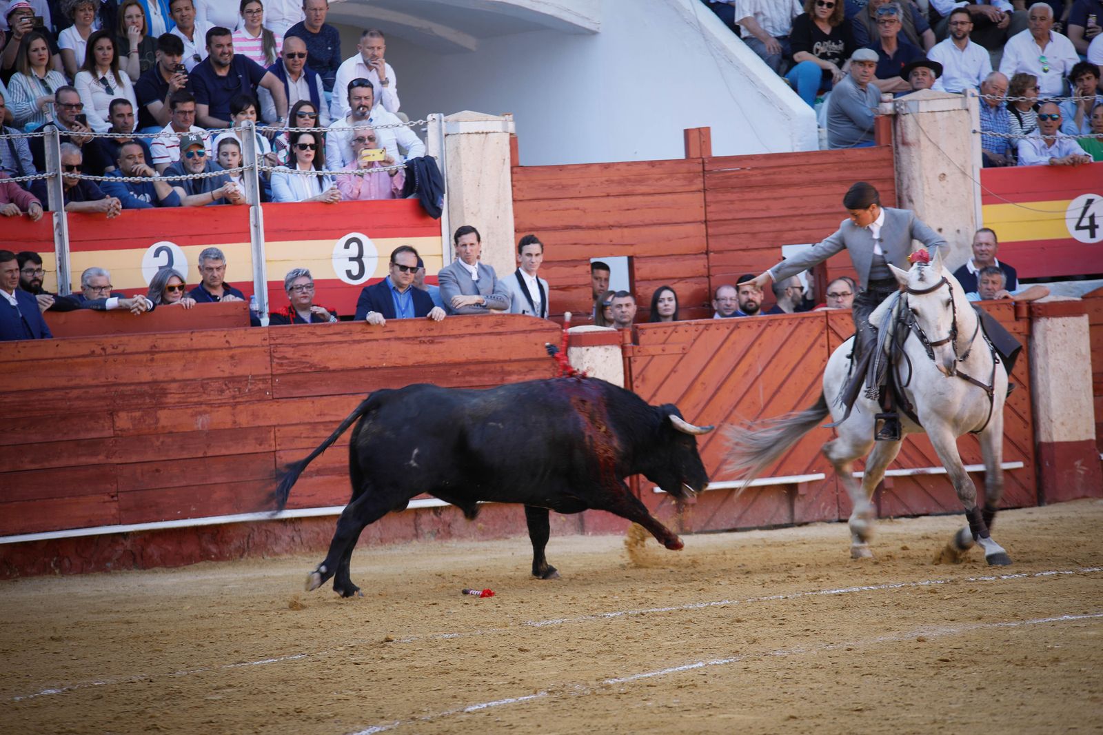 Imágenes del festival mixto lucha contra el cáncer