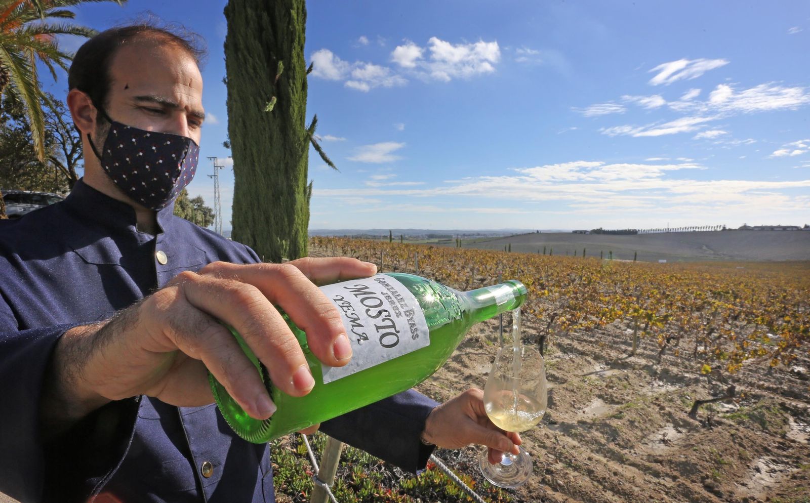 Imágenes del primer mosto del año de González Byass
