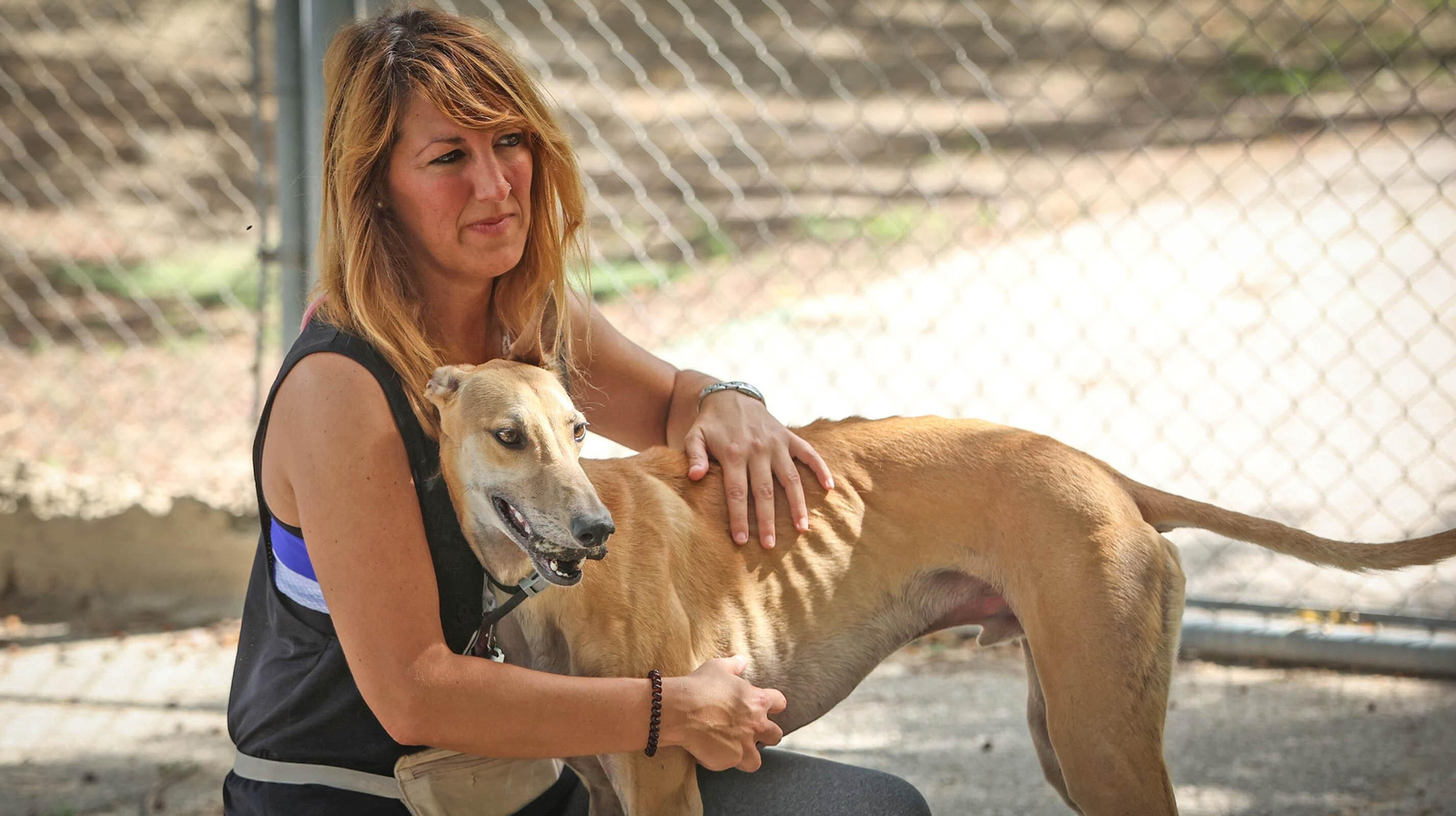 Protectora No Me Abandones en Jerez