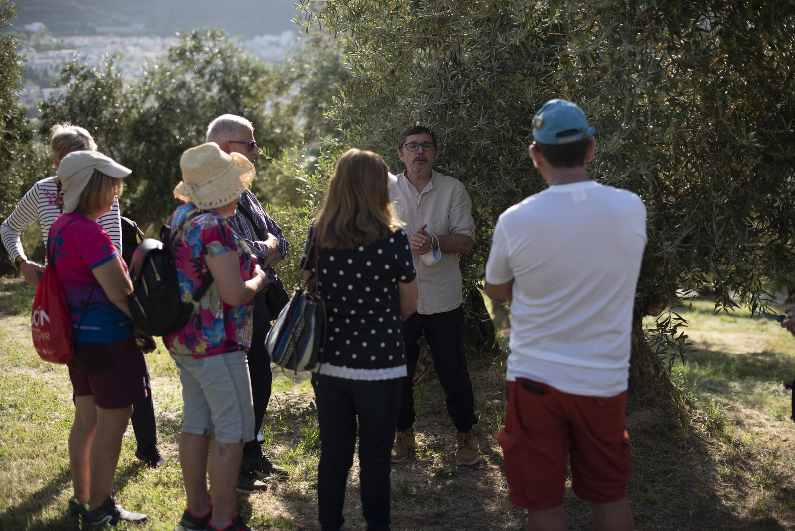 El oleoturismo está en boga desde los últimos años en toda esta zona, con una variedad de aceituna y aceite de oliva propio: la Royal de Cazorla.