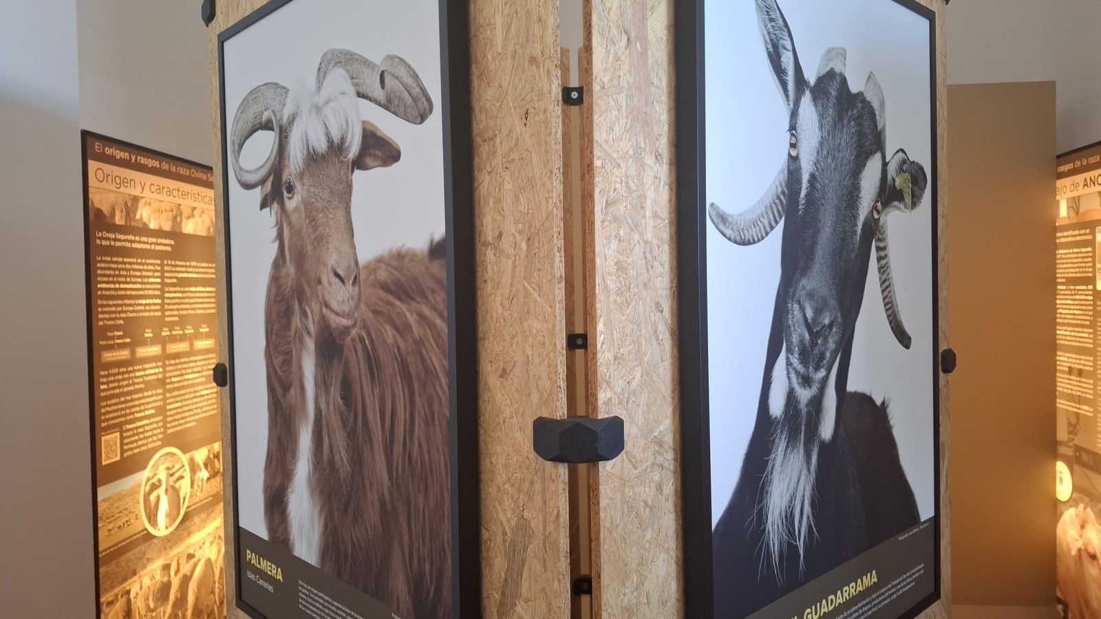 Bestiarium es la gran novedad de este año, una exposición de retratos imperdible.