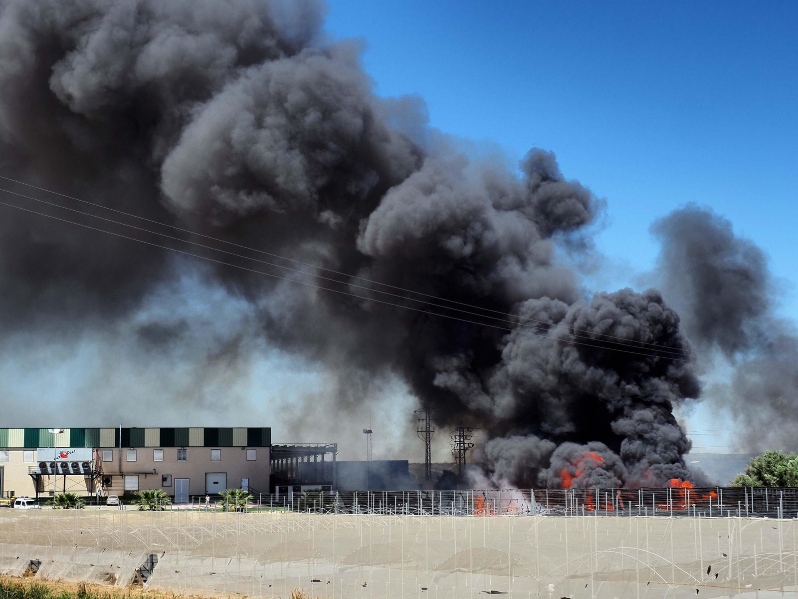 Las imágenes del aparatoso fuego que ha arrasado un vivero en Cartaya