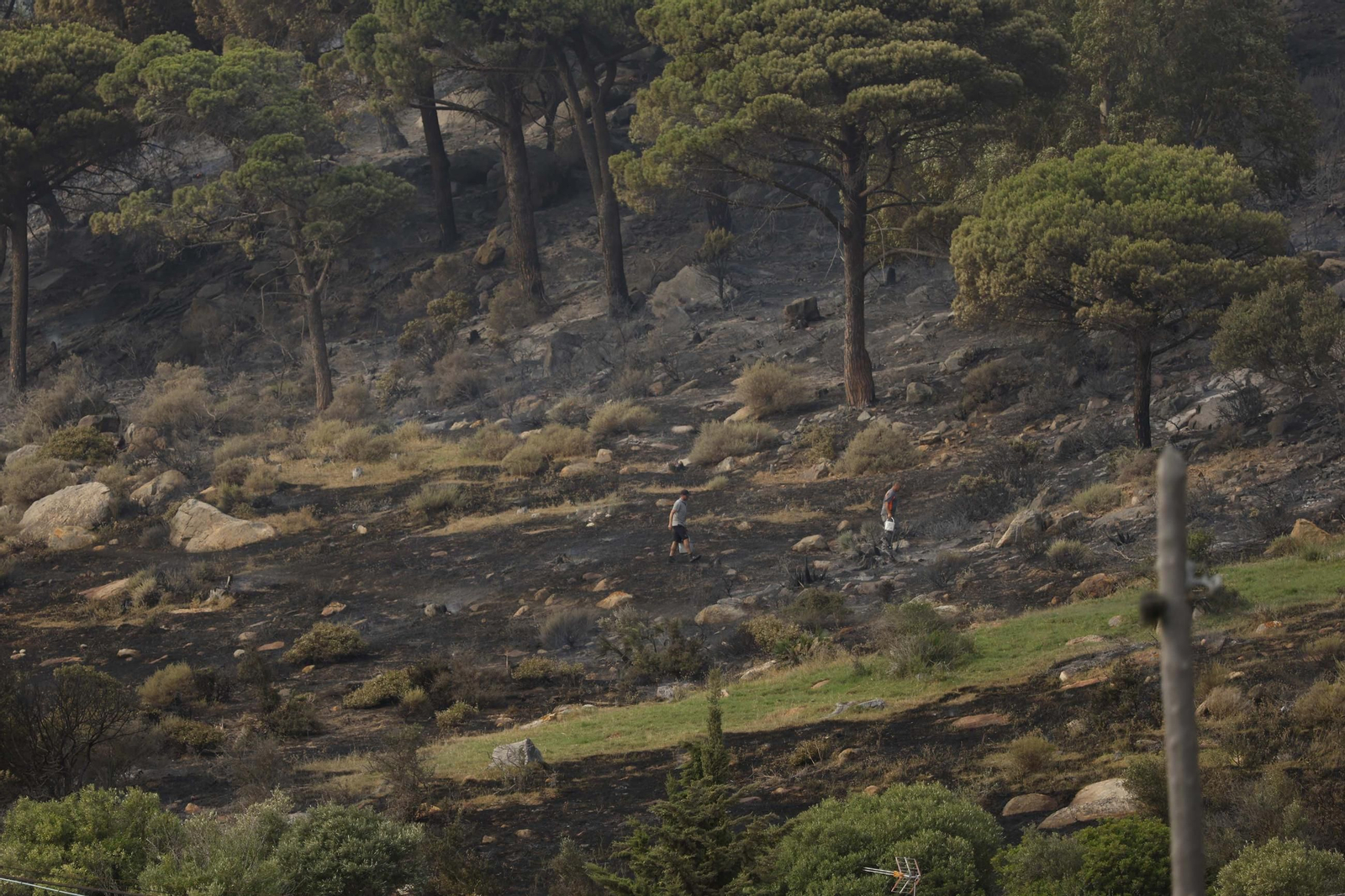Las fotos del incendio forestal entre la Torre y Valdevaqueros en Tarifa