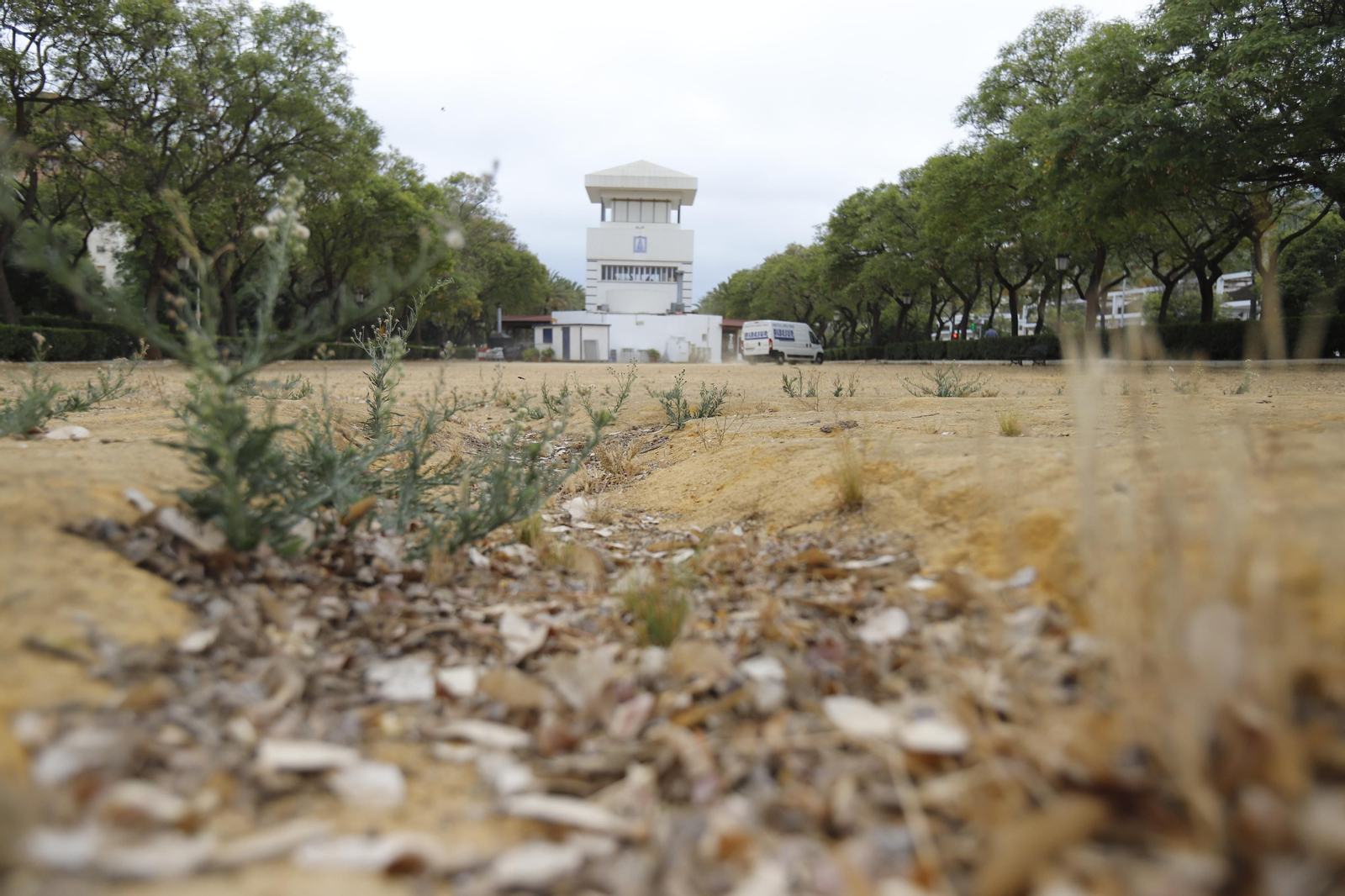 Imágenes del deterioro en la Avenida de Andalucía