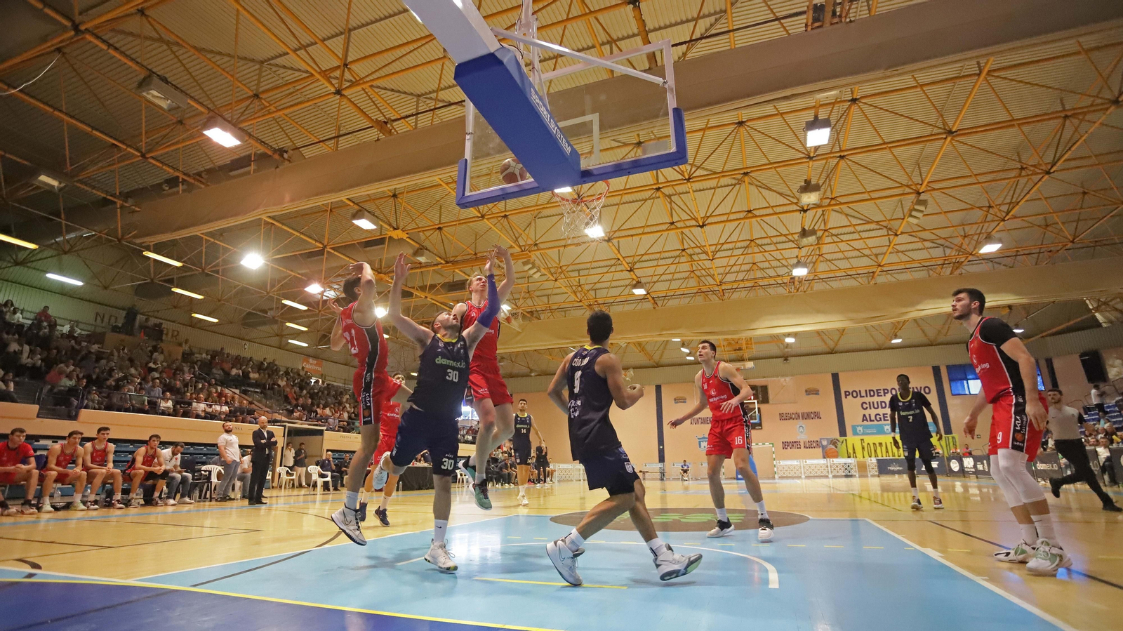 Las mejores fotos del Udea - Navarra