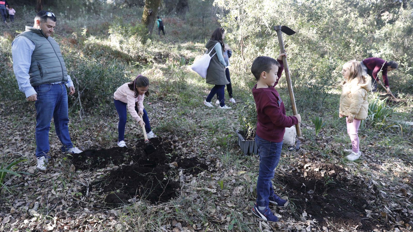 Jornada de reforestación en El Palancar por trabajadores de Acerinox, en imágenes