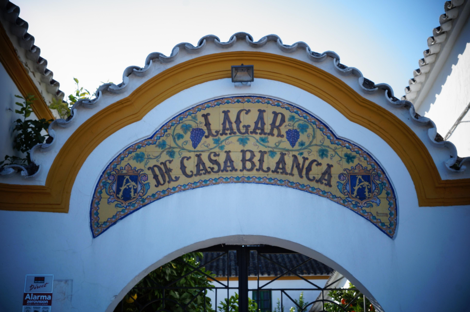 Un recorrido en fotografías por el vino nuevo de Moriles