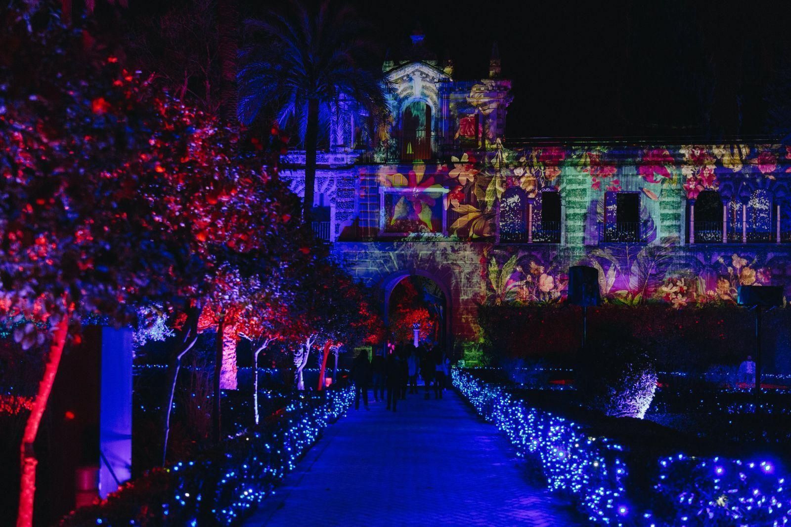 'Naturaleza encendida'.