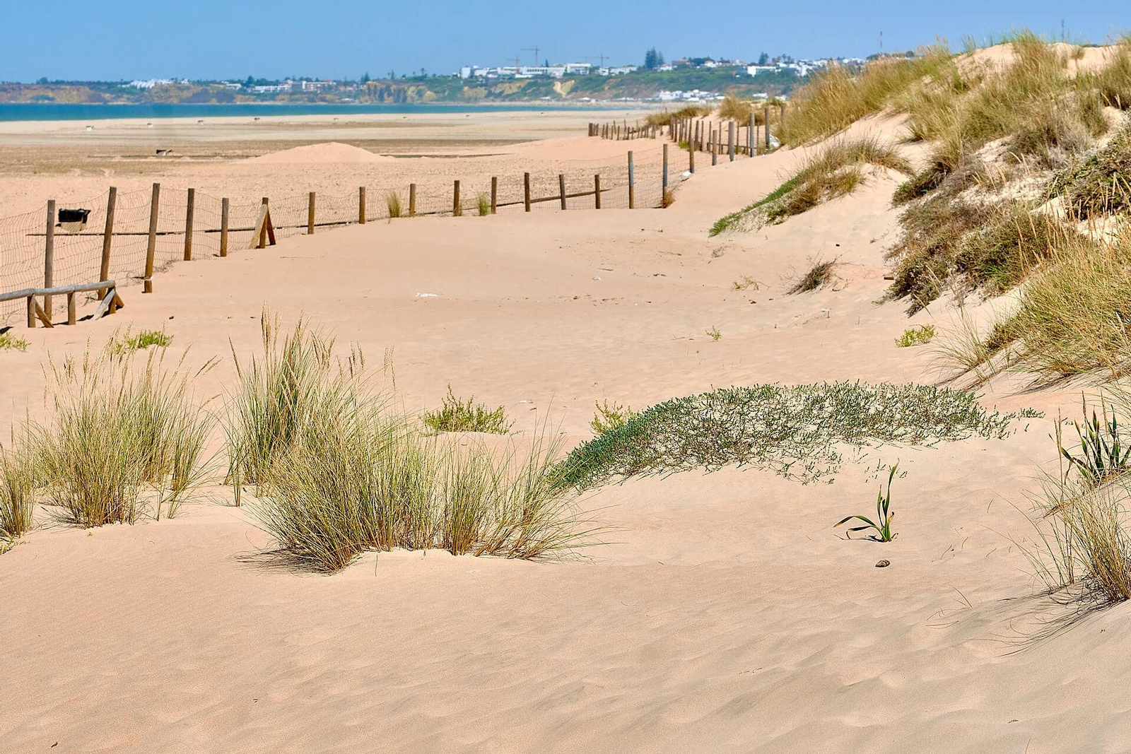 Playa El Palmar (Vejer)