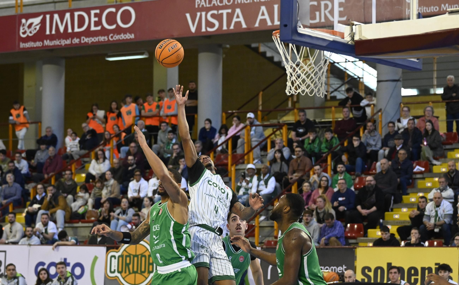Las mejores fotos del ambiente en el Coto Córdoba - Cáceres Patrimonio de la Humanidad