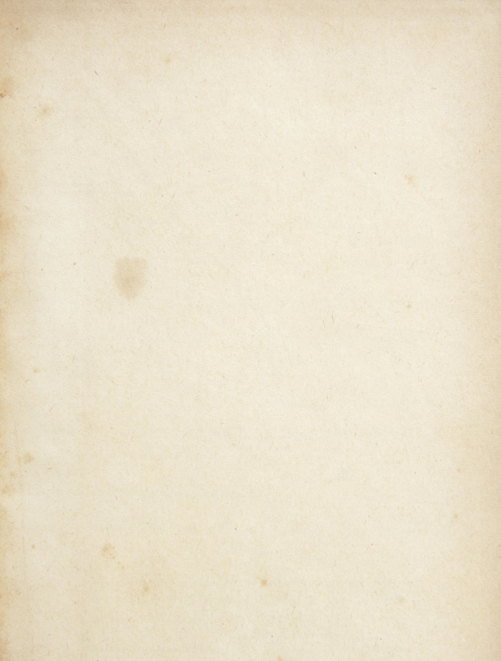 Un arte fugaz para  vestir a una Reina