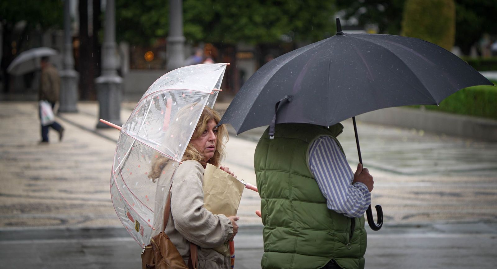 Este invierno meteorológico en Jerez dejó una cifra récord de 55 días con lluvias apreciables