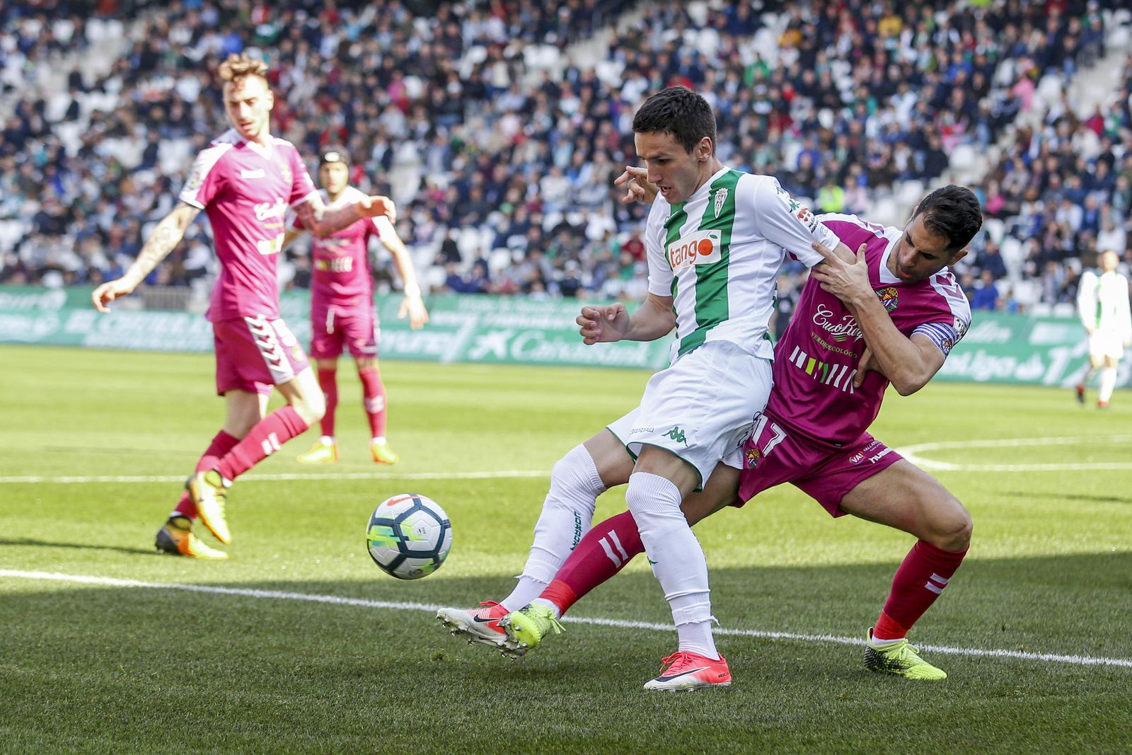 Las imágenes del Córdoba-Valladolid