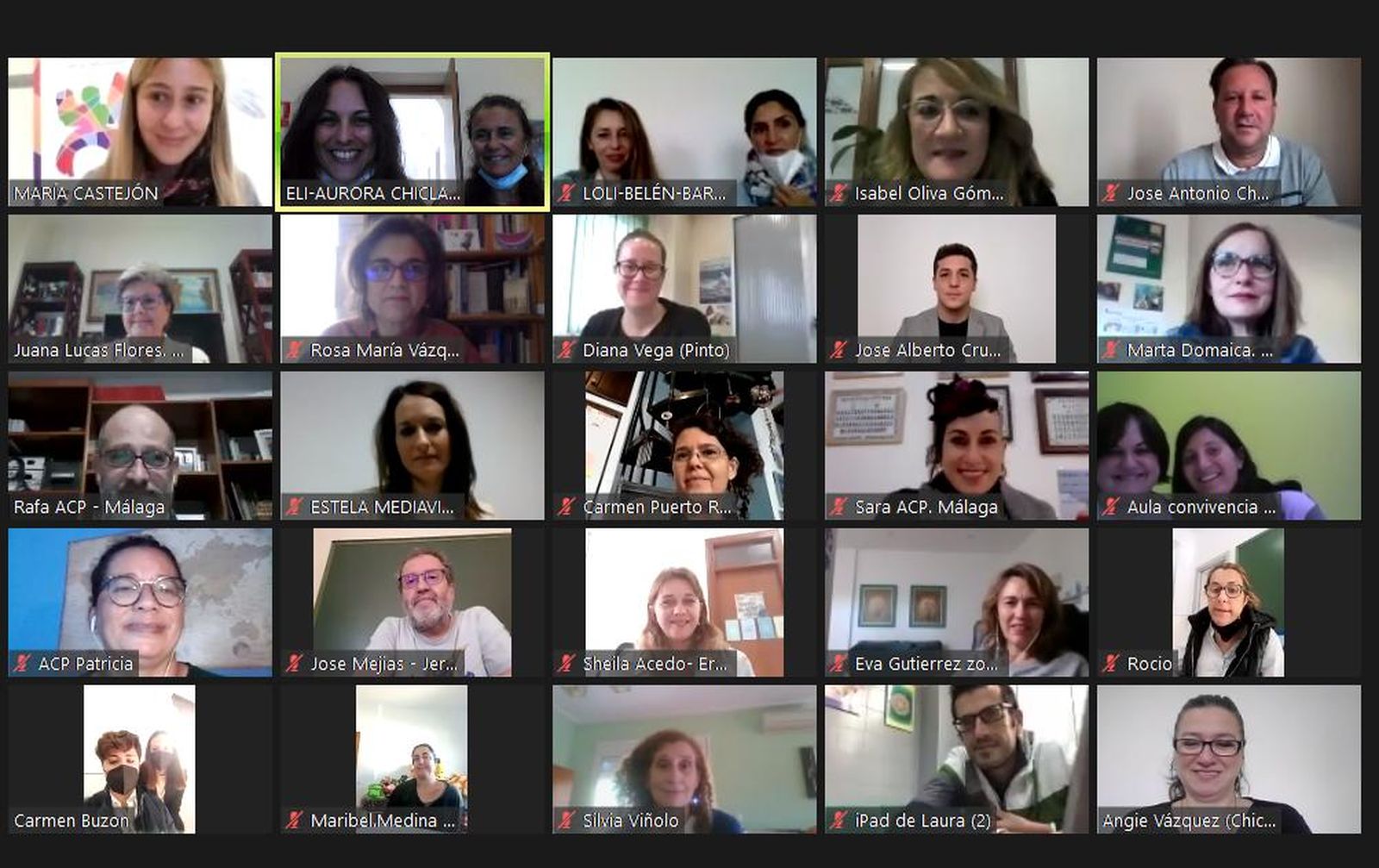 Un momento del encuentro telemático mantenido recientemente por los participantes en la jornada.