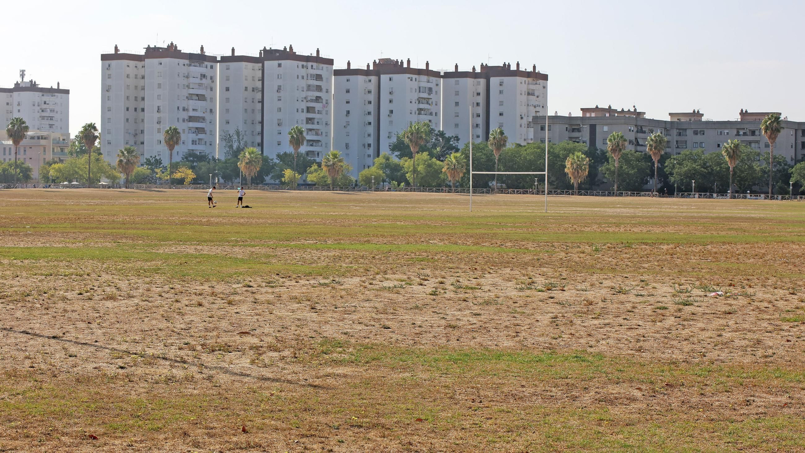 Este es el estado en que se encuentra la Pradera de Chapín en Jerez