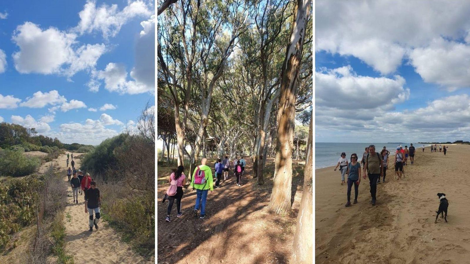 Rutas de senderismo por Islantilla
