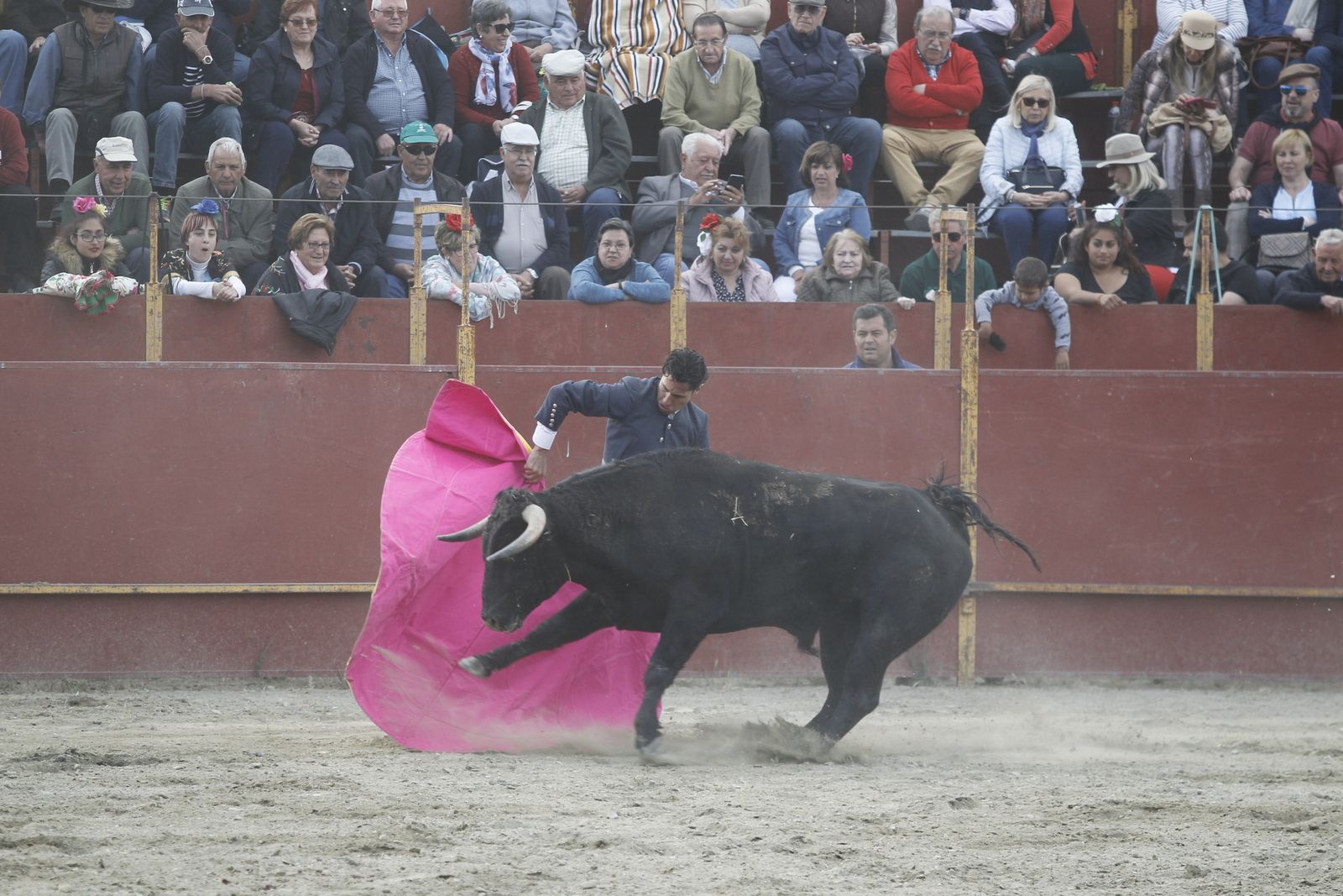 Fotogalería Festival Taurino Mixto. Fiestas de Abrucena.