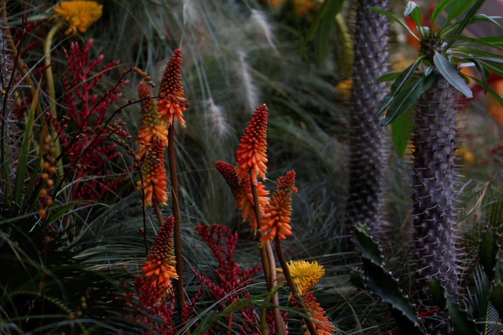 Las últimas horas para visitar las instalaciones de Flora en Córdoba, en imágenes