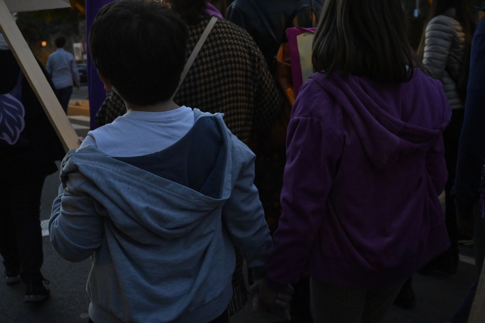 Manifestación del 25N en Imágenes.