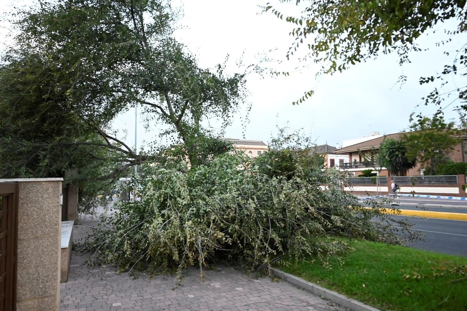 Los daños causados por la borrasca Bernard en Córdoba, en imágenes