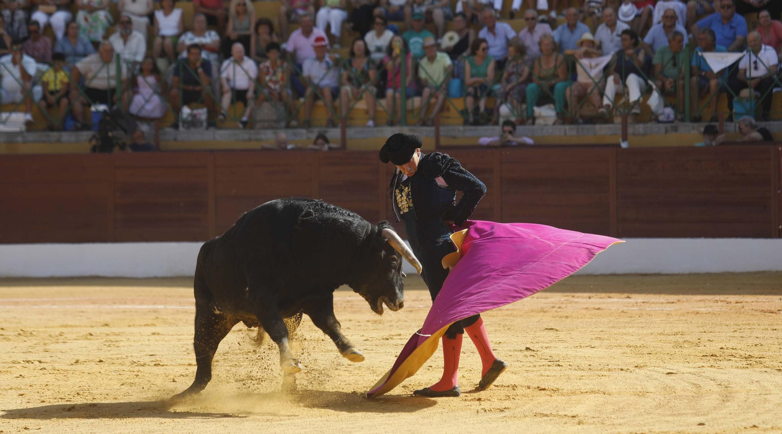 Las fotos de la primera semifinal del ciclo de novilladas de las Escuelas de Tauromaquia de Andalucía en La Línea