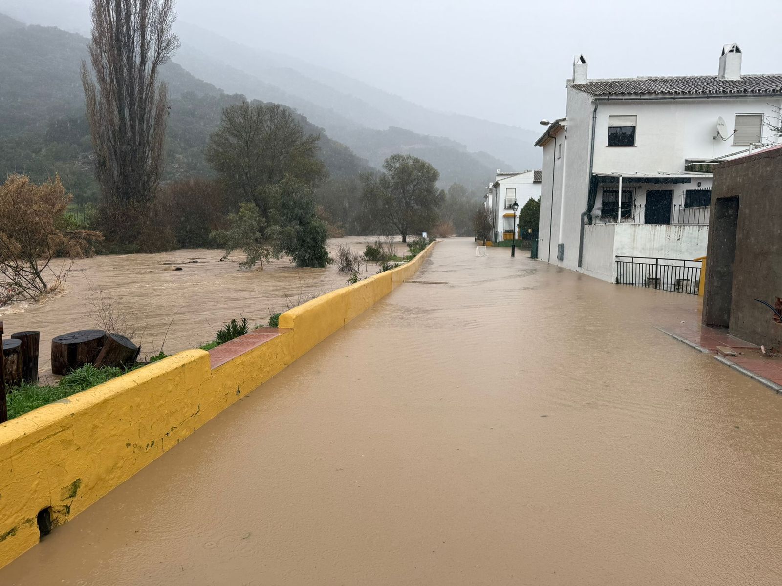 La Estación de Jimera de Líbar, inundada por el desbordamiento del río Guadiaro.