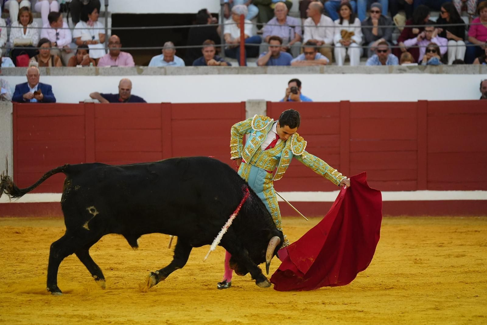 Las fotos del triunfo de Manuel Quintana en la feria taurina de Pozoblanco
