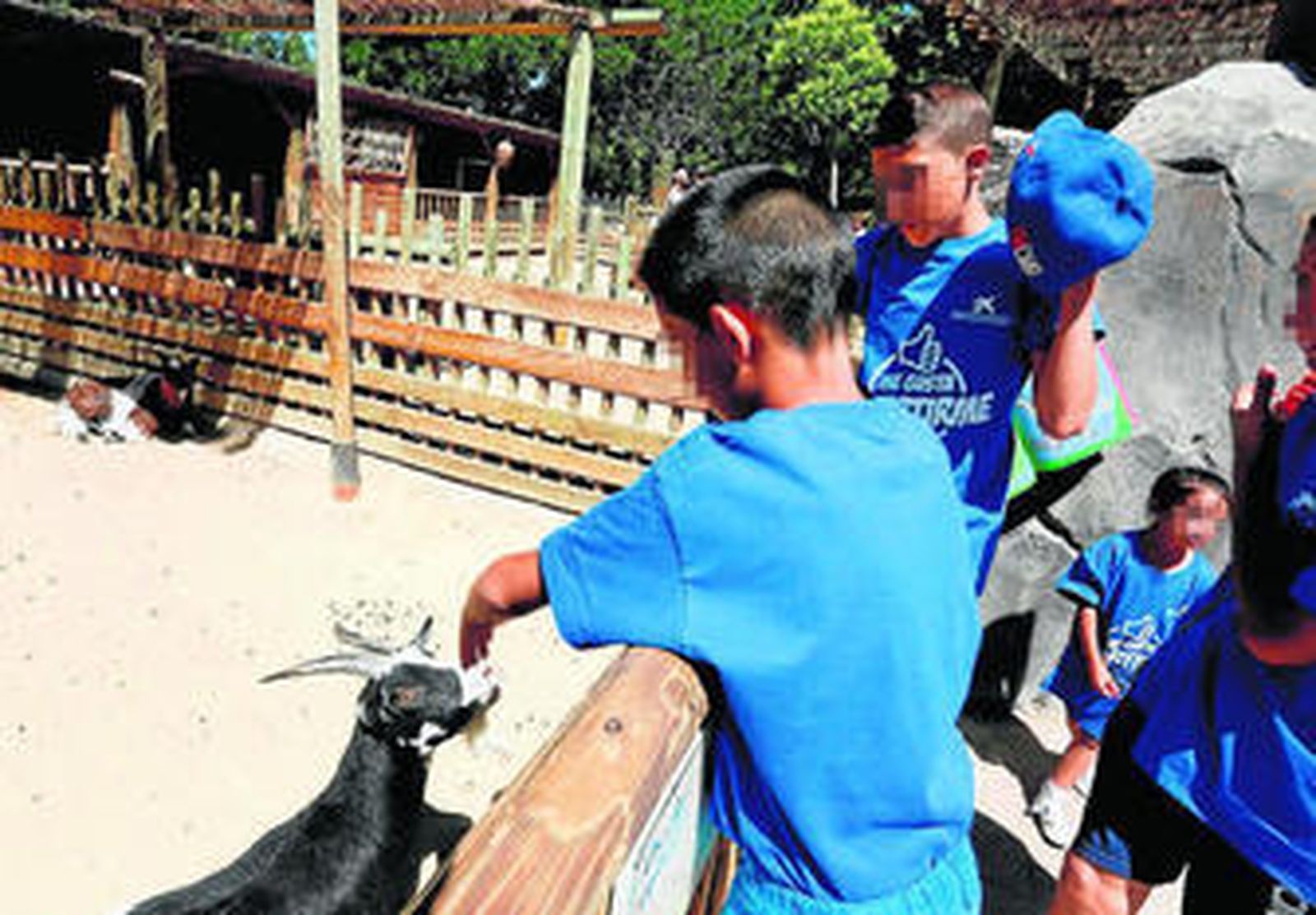 Niños en una de las actividades organizadas al aire libre.