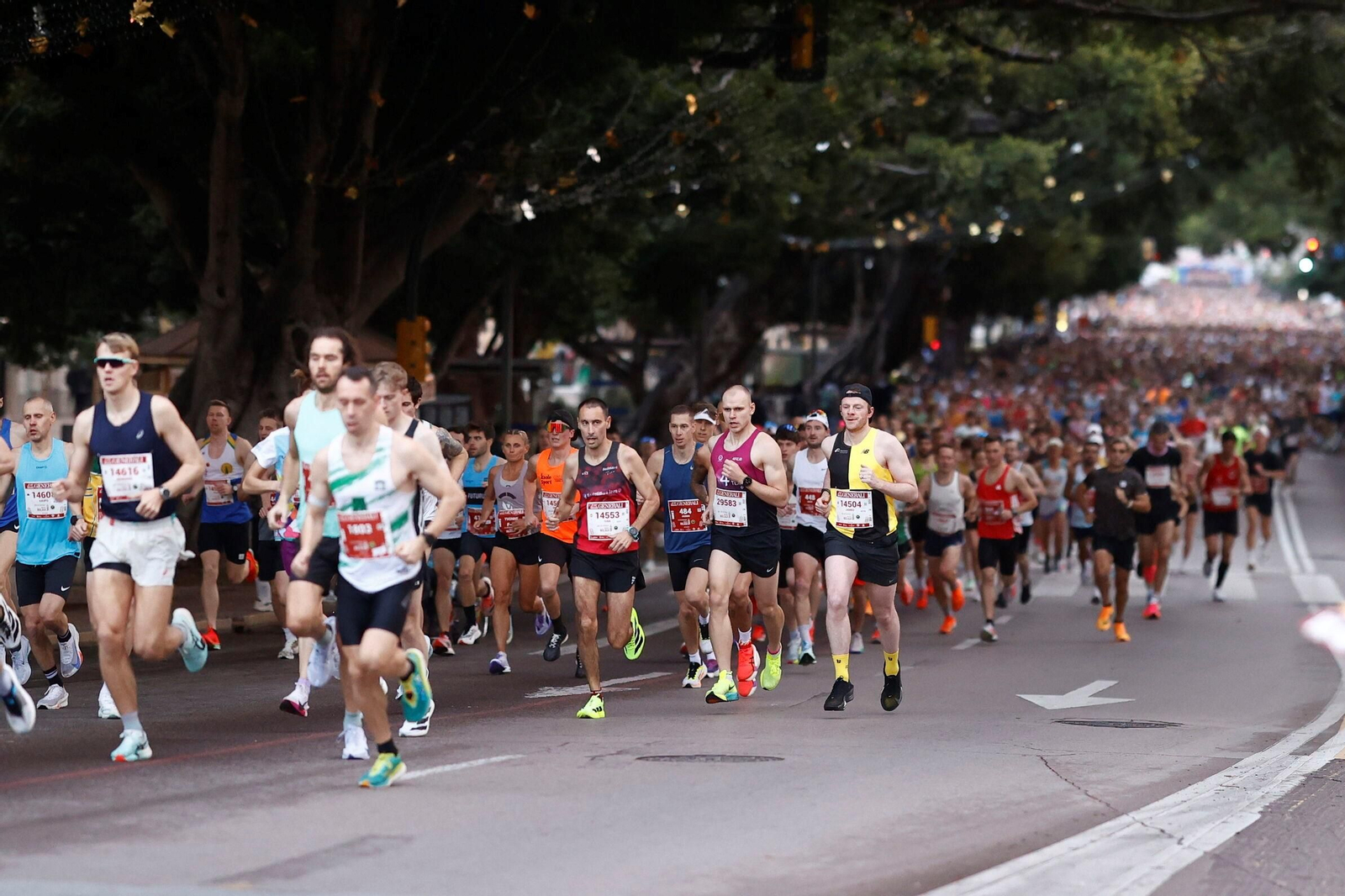Las fotos de la Maratón de Málaga 2025