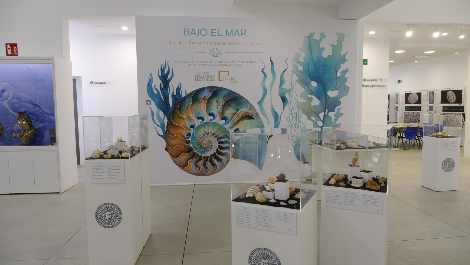 Descubre en estas fotos las maravillas que esconde el Pabellón de Historia Natural de la UAL