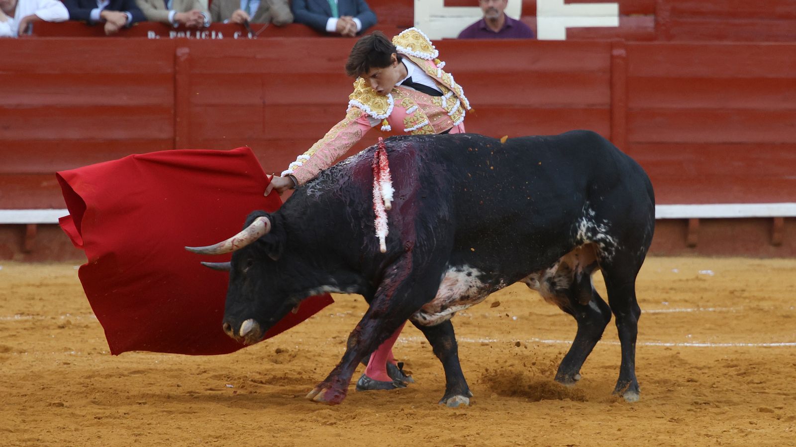 Tercera tarde de toros y última de la Feria de Jerez con Morante, Juan Ortega y Roca Rey