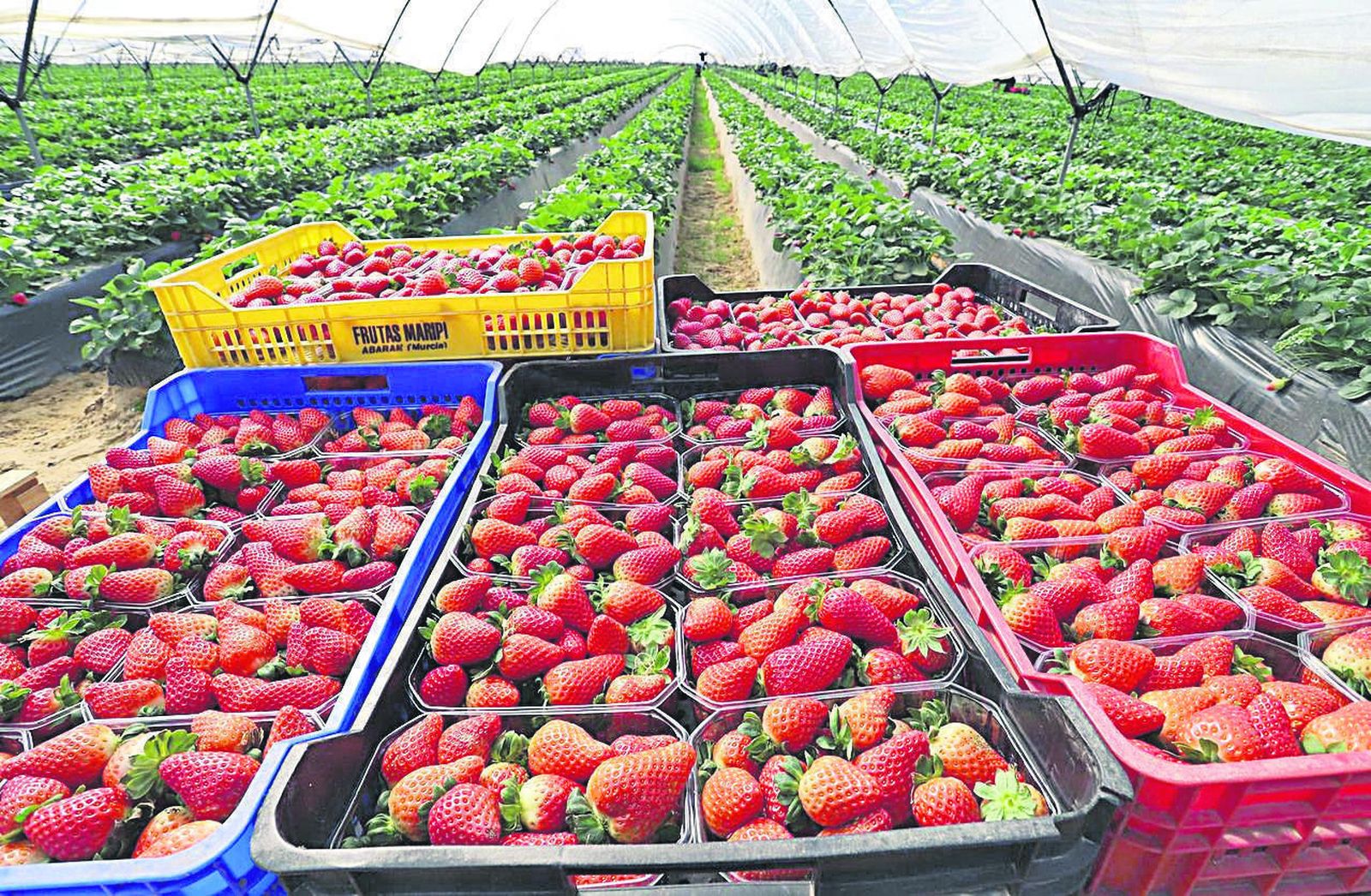 Inversión, infraestructuras e industrialización para Huelva