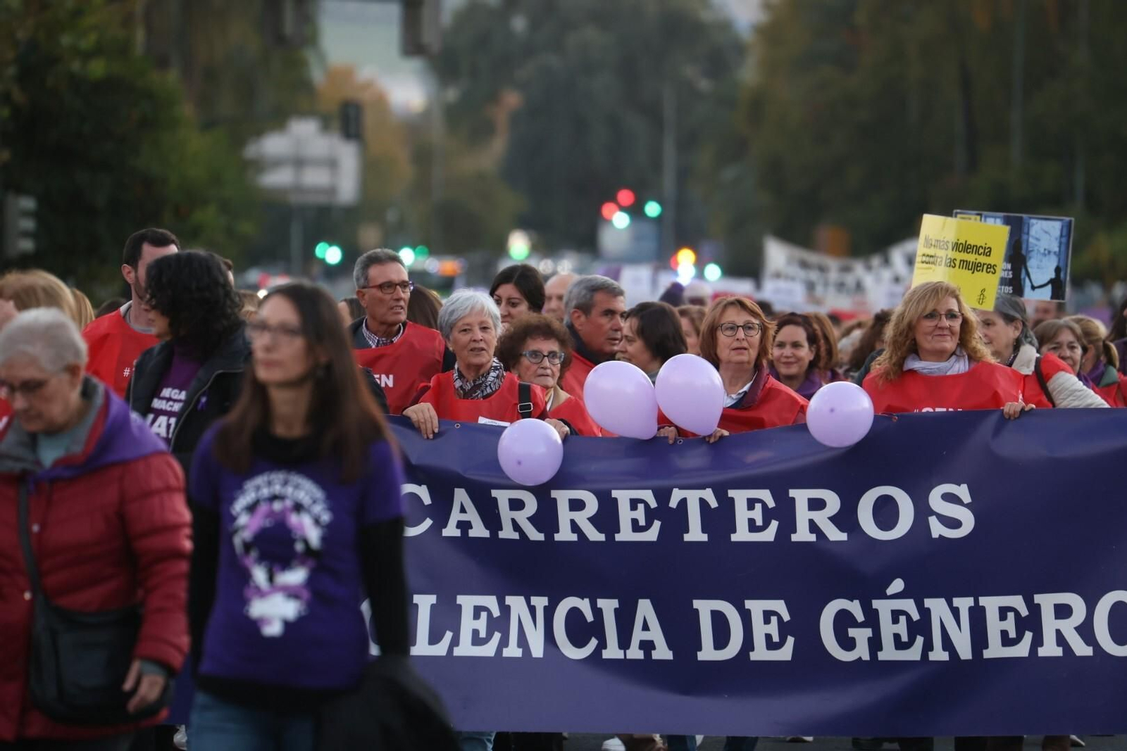 La manifestación del 25N en Córdoba, en imágenes
