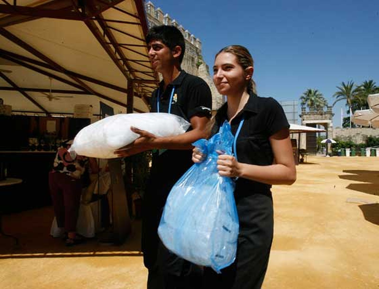 La temperatura del vino es fundamental y el hielo para mantenerla, también

Foto: Pascual