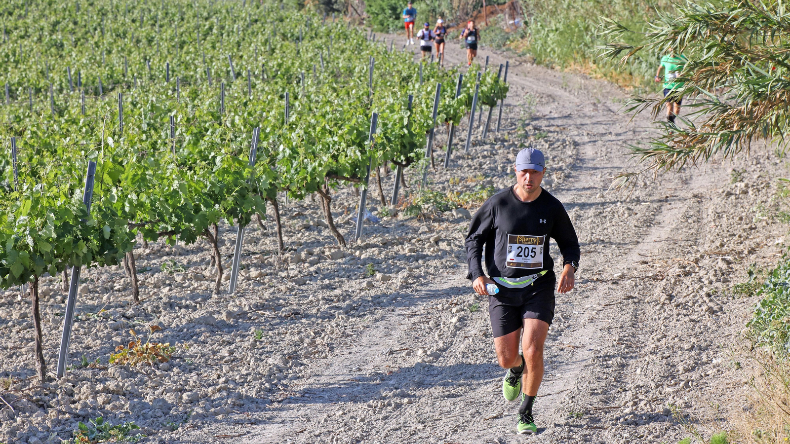 VI Sherry Maratón Jerez