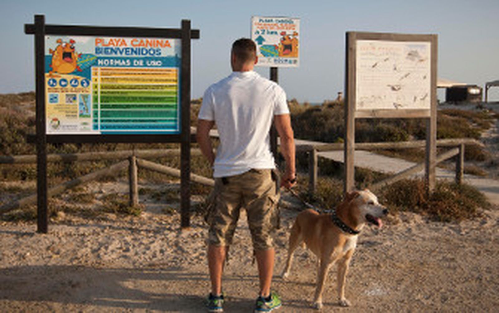 Un mes 'perro' para la playa de Camposoto