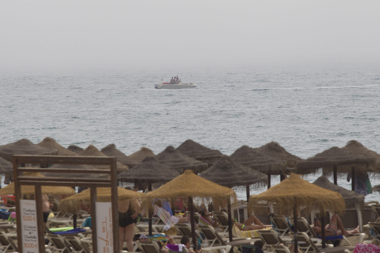 El taró provoca la prohibición del baño en las playas de Málaga, en imágenes